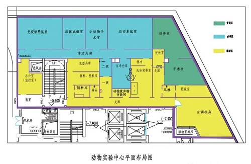 动物实验这些平面布局图