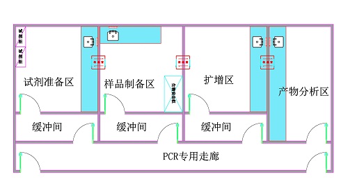 pcr实验室设计