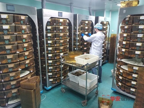 广东深圳动物实验室设计建设案例