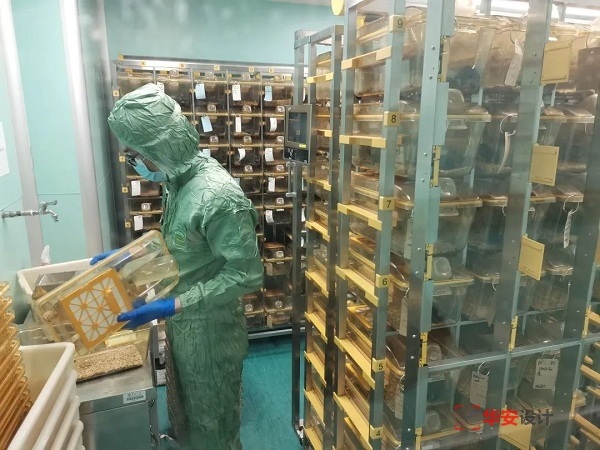 广东深圳动物实验室设计建设案例