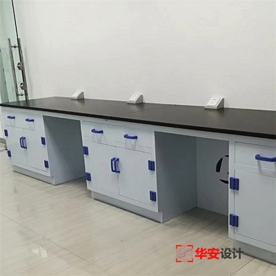 广东惠州PP实验室家具定制安装项目