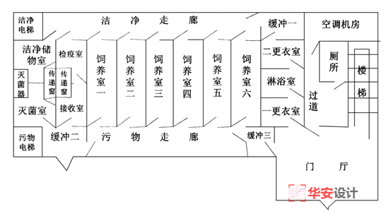 SPF级动物实验室建设