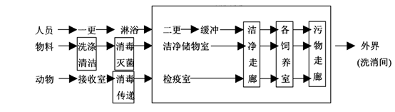 SPF级动物实验室设计方案（教你如何设计spf动物实验室）