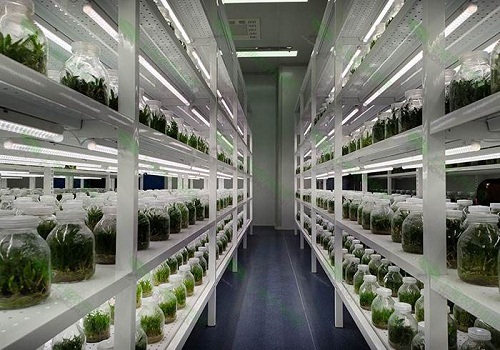 植物组织培养实验室设计建设