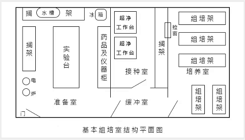 植物组织培养实验室