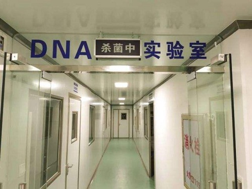 DNA实验室建设要求（dna实验室建设规划设计方案）