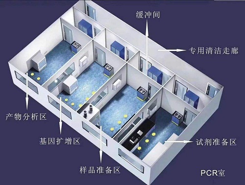 PCR实验室分区