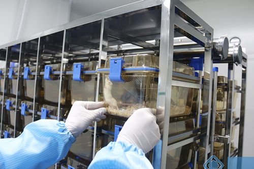 SPF动物实验室装修公司，承接全国SPF级实验室装修设计